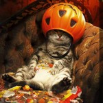 Chat qui s'est gavé de bonbons pour Halloween