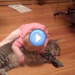 Vidéo du bébé et son chat hyper gentil
