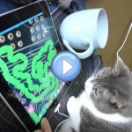 Vidéo du chat qui joue avec une tablette tactile