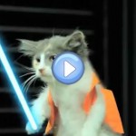 Vidéo : L'empire Contre Attaque version Lol Chats - Star Wars