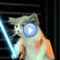 Vidéo : L’empire Contre Attaque version Lol Chats – Star Wars