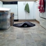 Le chat noir fantôme ! Effrayant