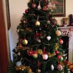 Le chat qui a grimpé dans le sapin et s'y cache