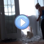 un fait un trou dans la neige