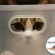 Chat invisible caché