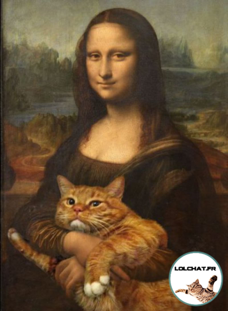 Le chat de Mona Lisa - La Joconde