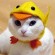 Chat déguisé en poussin