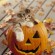 Un chaton Maine Coon dans une citrouille d’Halloween