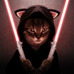 Le méchant chat Sith - Star Wars