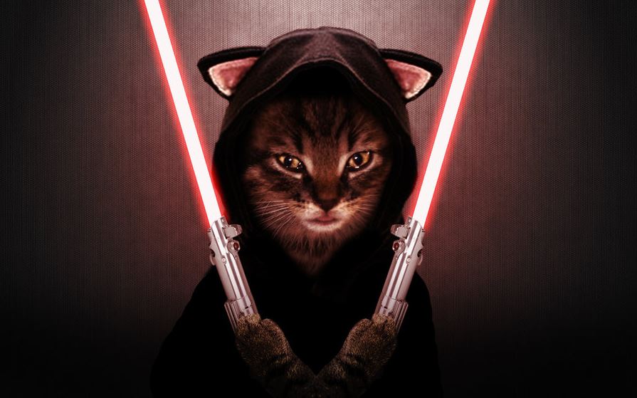 Le méchant chat Sith - Star Wars