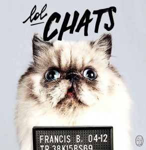 Le livre Lolchats