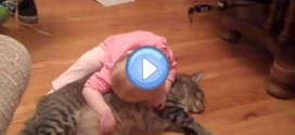 Vidéo du bébé et son chat hyper gentil