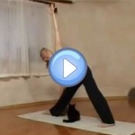 Vidéo du chat qui n'aime pas le yoga