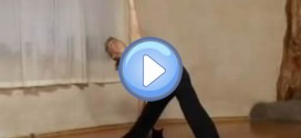 Vidéo du chat qui n'aime pas le yoga