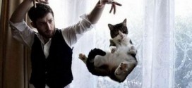 un magicien fait flotter un chat