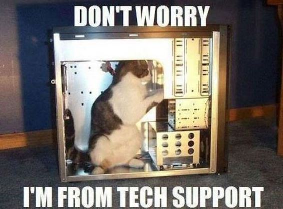 chat au support technique